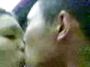 Apanhado pornodoido  ...